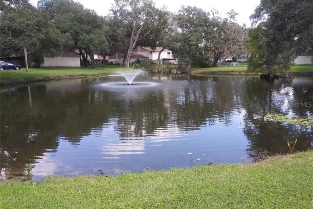 דירות טאמפה Cozy 3 Bed 2.5 Bath Located Near Busch Gardens מראה חיצוני תמונה