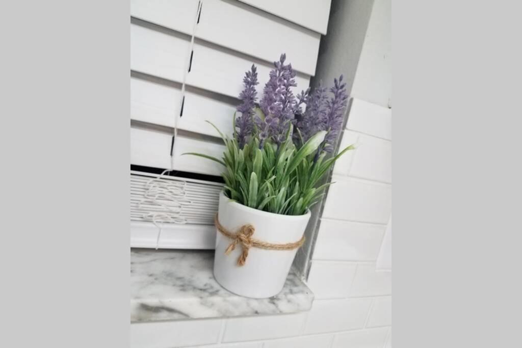 דירות טאמפה Cozy 3 Bed 2.5 Bath Located Near Busch Gardens מראה חיצוני תמונה