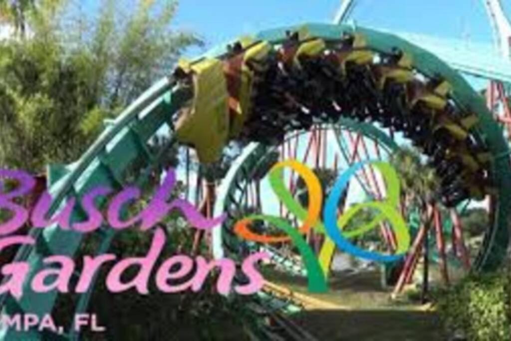 דירות טאמפה Cozy 3 Bed 2.5 Bath Located Near Busch Gardens מראה חיצוני תמונה