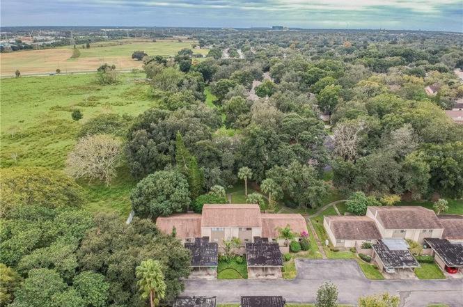 דירות טאמפה Cozy 3 Bed 2.5 Bath Located Near Busch Gardens מראה חיצוני תמונה