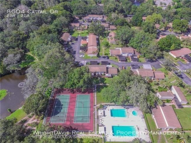 דירות טאמפה Cozy 3 Bed 2.5 Bath Located Near Busch Gardens מראה חיצוני תמונה